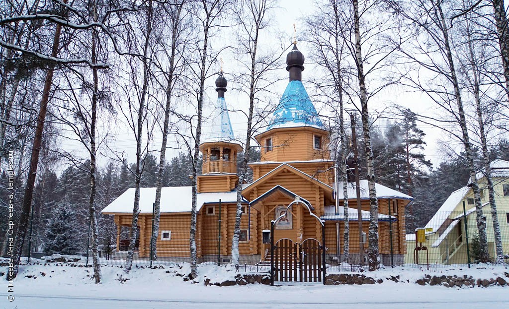 Церковь Успения Пресвятой Богородицы в Мичуринском